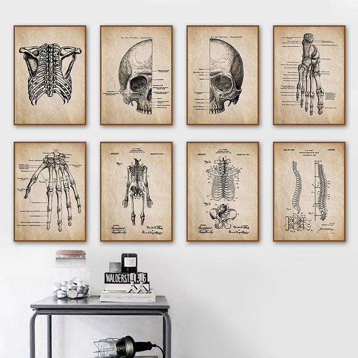 Anatomical Skull Scaffolding Post Vintage Art Canvas Painting